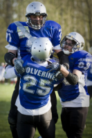 wolverines 3..png